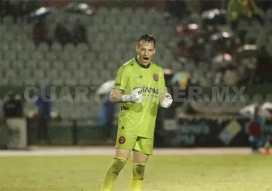 Palomo, listo para volar en la meta felina