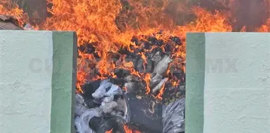Incineran m&aacute;s de 98 kilos de narc&oacute;tico
