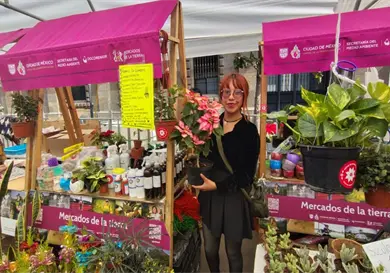 Productores de flores conf&iacute;an en el repunte de ventas