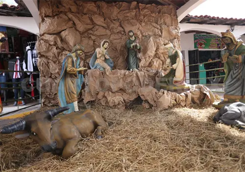 Nacimiento navideño en Chiapas va en detrimento Nacimiento navideño en Chiapas va en detrimento