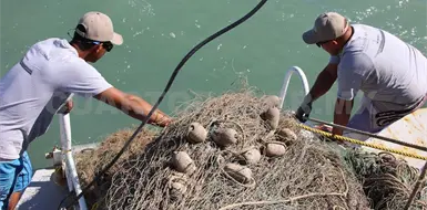 Reciben apoyo pescadores y acuacultores Reciben apoyo pescadores y acuacultores