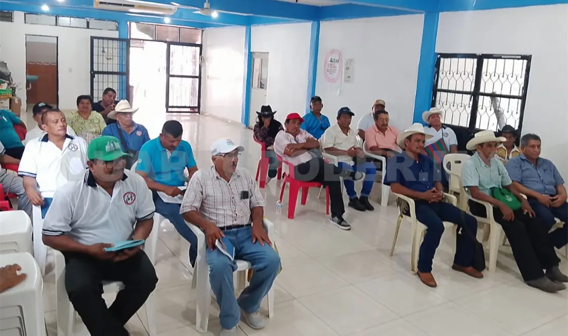 Los ganaderos sugirieron que se instalen las cámaras en caminos o callejones hacia las parcelas. Noel Vázquez / CP