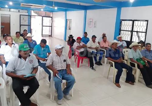 Piden cámaras para dar con responsables de las quemas Piden cámaras para dar con responsables de las quemas