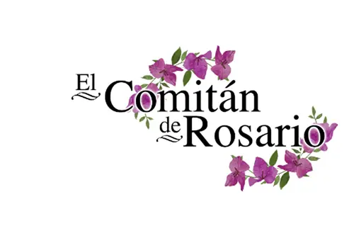 Invitan a mirar el Comit&aacute;n de Rosario