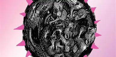 Exploran &aacute;ngulos de la depredaci&oacute;n