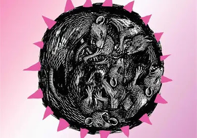 Exploran &aacute;ngulos de la depredaci&oacute;n