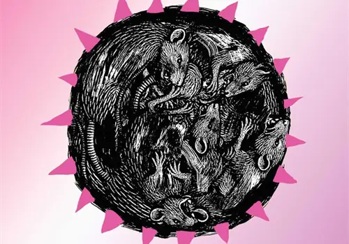 Exploran &aacute;ngulos de la depredaci&oacute;n