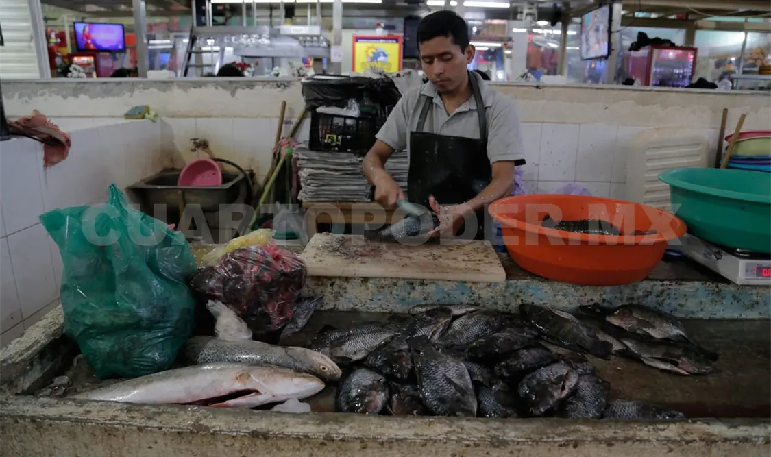 Chiapas por su recurso hídrico, tiene potencial para la pesca y buscan fortalecerla. Diego Pérez / CP