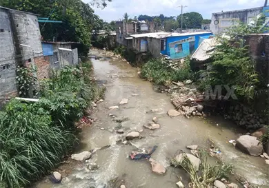 Omisi&oacute;n de autoridades genera da&ntilde;os ambientales