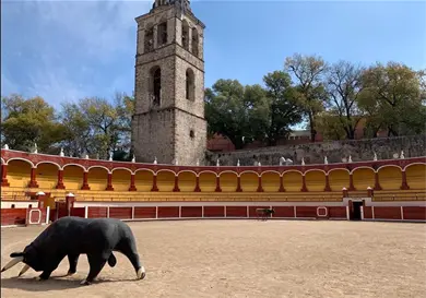 Plaza de Toros de Tlaxcala