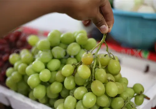 Rituales de fin de año: tradición en los hogares Rituales de fin de año: tradición en los hogares