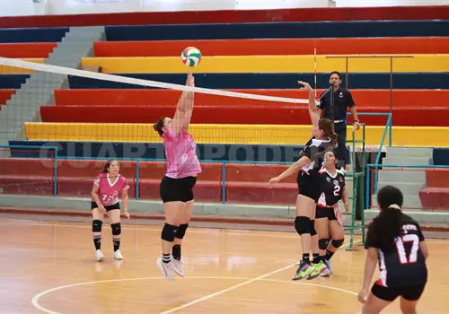 Linces quiere mantenerse en la cima Linces quiere mantenerse en la cima