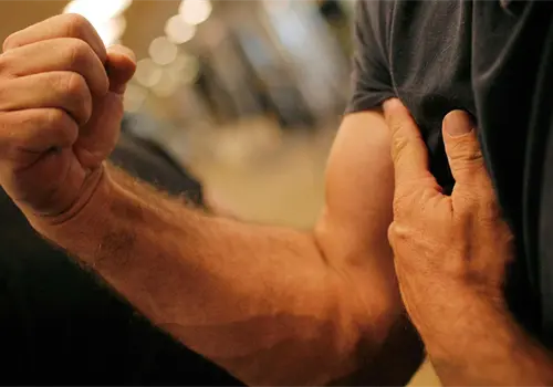 Aumenta la testosterona de forma natural Aumenta la testosterona de forma natural