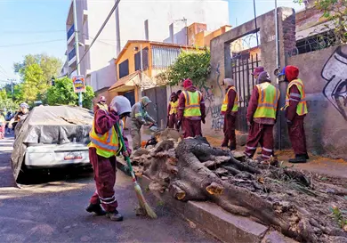 Restablecen casi en su totalidad servicio de luz Restablecen casi en su totalidad servicio de luz