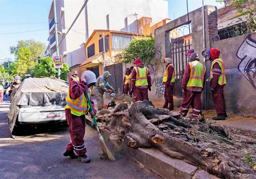 Restablecen casi en su totalidad servicio de luz Restablecen casi en su totalidad servicio de luz