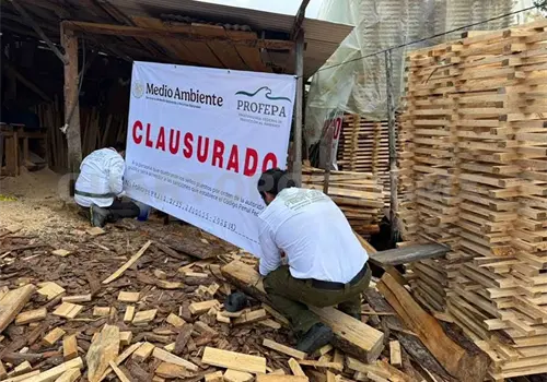 Refuerza Profepa control ambiental Refuerza Profepa control ambiental