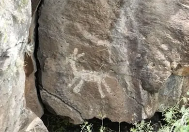 Hallan petrograbados en obras de tren