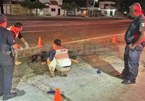 Muere al golpearse contra el pavimento Muere al golpearse contra el pavimento