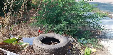 Incrementan basureros clandestinos en Tonal&aacute;