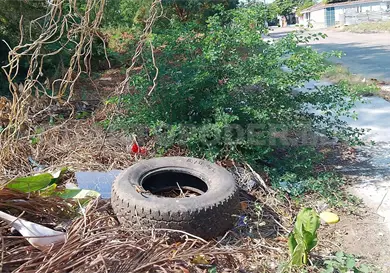 Incrementan basureros clandestinos en Tonal&aacute;