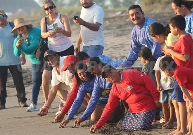 Agradece Museo de la Tortuga apoyos otorgados