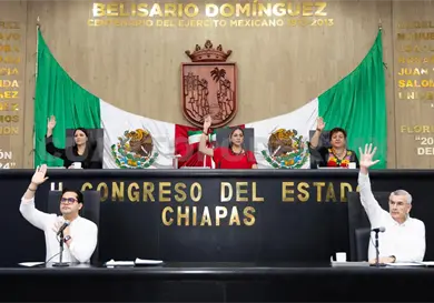 Hasta 15 a&ntilde;os de prisi&oacute;n por delito de "halconeo"