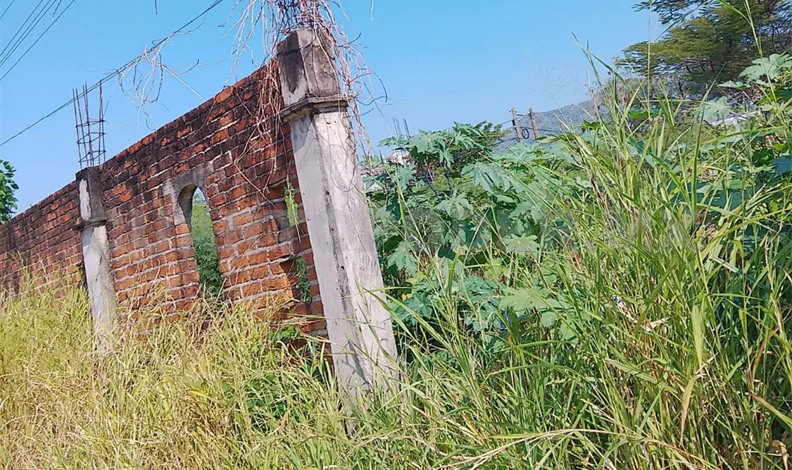 Hicieron el llamado a los dueños de los terrenos, para que realicen la limpia de manera inmediata. Noel Vázquez / CP