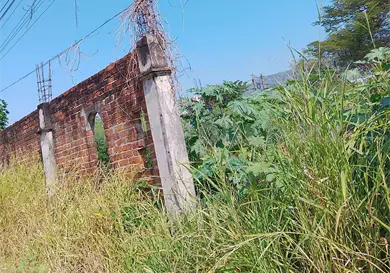 Piden a due&ntilde;os limpiar sus terrenos bald&iacute;os