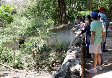 Turismo repunta 50 % en temporada decembrina Turismo repunta 50 % en temporada decembrina