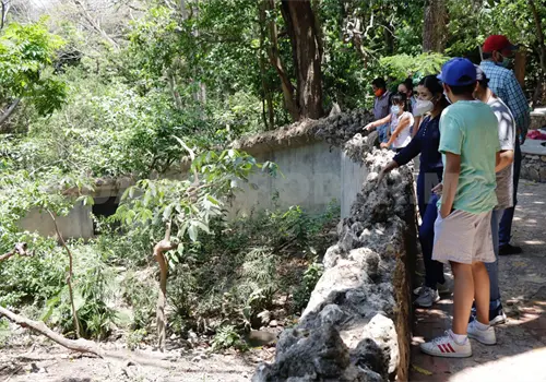 Turismo repunta 50 % en temporada decembrina Turismo repunta 50 % en temporada decembrina