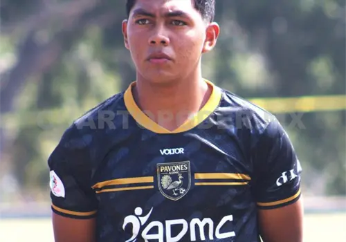 Pavones se integran a la selección grupo 2 Pavones se integran a la selección grupo 2