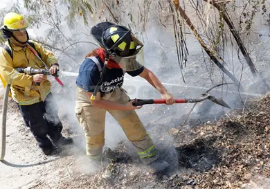 Elogian reducción de incendios forestales en Chiapas Elogian reducción de incendios forestales en Chiapas