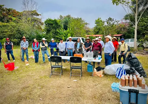 Capacitan sobre atenci&oacute;n al gusano barrenador