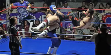 Cabellera vs cabellera enciende la capital