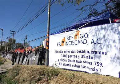 CDMX: 858 perros est&aacute;n en tres instalaciones