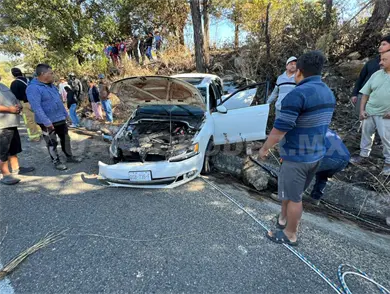 Se estampan en paredón y en árbol Se estampan en paredón y en árbol