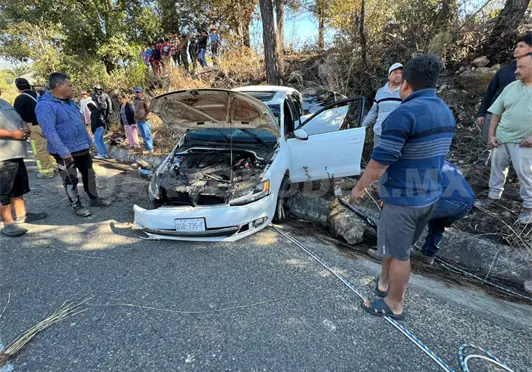 Se estampan en pared&oacute;n y en &aacute;rbol