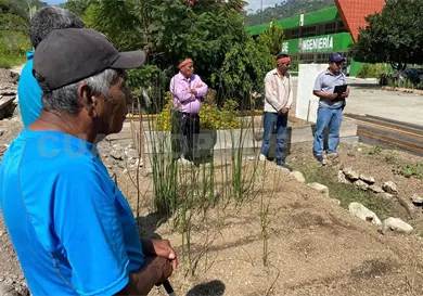 Buscan rescatar plantas del pueblo moch&oacute;