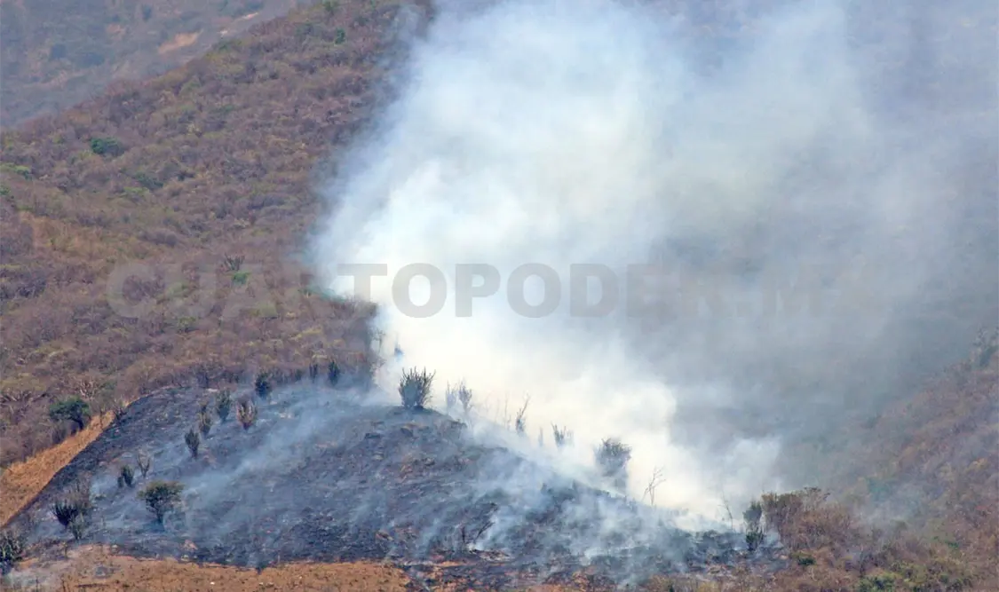 Destacan una disminución del 79.18 % en la superficie afectada en comparación con 2024. Diego Pérez / CP