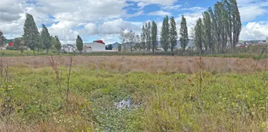 Celebrarán el Mes de los humedales en SCLC Celebrarán el Mes de los humedales en SCLC