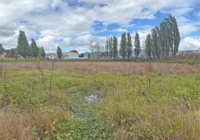Celebrar&aacute;n el Mes de los humedales en SCLC