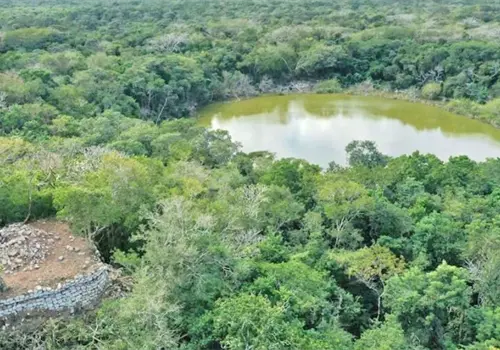 Hallan conjunto arqueol&oacute;gico en Yucat&aacute;n
