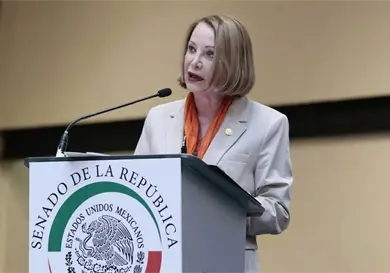 Senado defenderá la patria: Itzel Castillo Senado defenderá la patria: Itzel Castillo