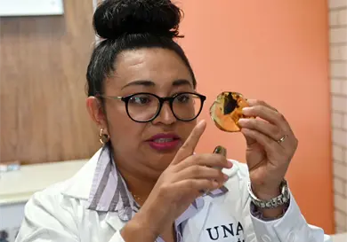 Descubren nueva especie de &aacute;rbol productor de &aacute;mbar