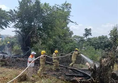 Denuncian ochenta hect&aacute;reas de parcelas quemadas