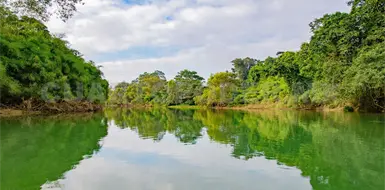 Cumple la Reserva Montes Azules 48 a&ntilde;os