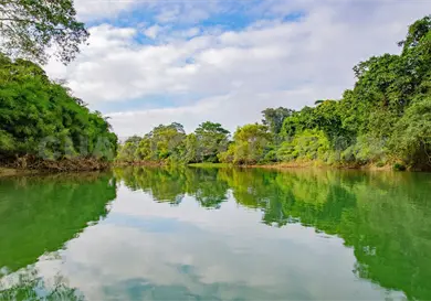 Cumple la Reserva Montes Azules 48 a&ntilde;os