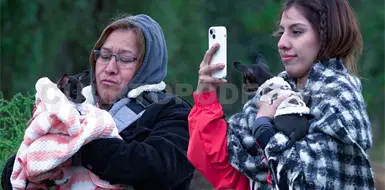 Alertan por fuertes rachas de viento en temporada invernal