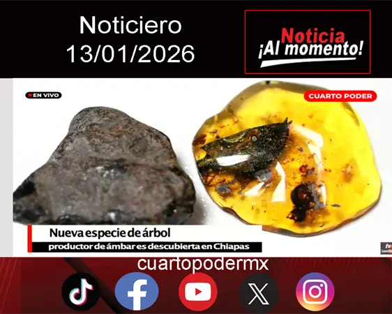 #Noticiero TVO #TuDiarioVivir con Adolfo Luj&aacute;n.