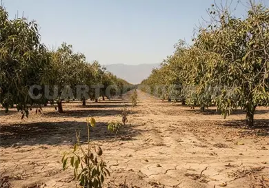 Advierten 2026 con calores y sequ&iacute;a